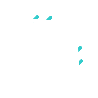 Flight
